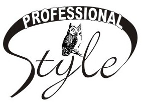 professional style